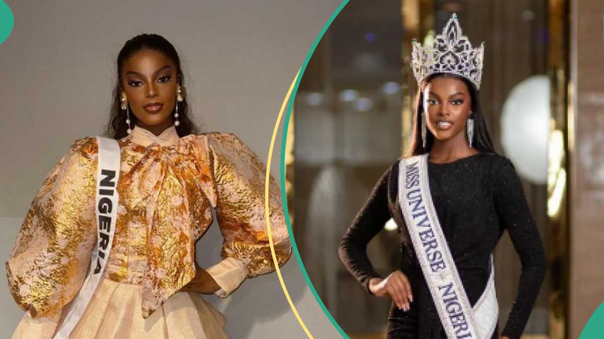 Chidimma Adetshina’s old comment about Nigeria resurfaces amid deportation battle