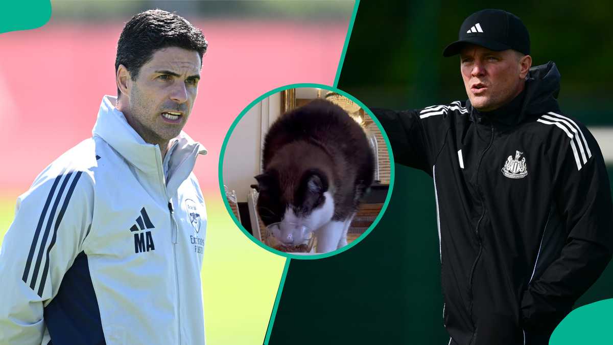 Nimbus Pronos predicts Premier League match between Arsenal and Newcastle