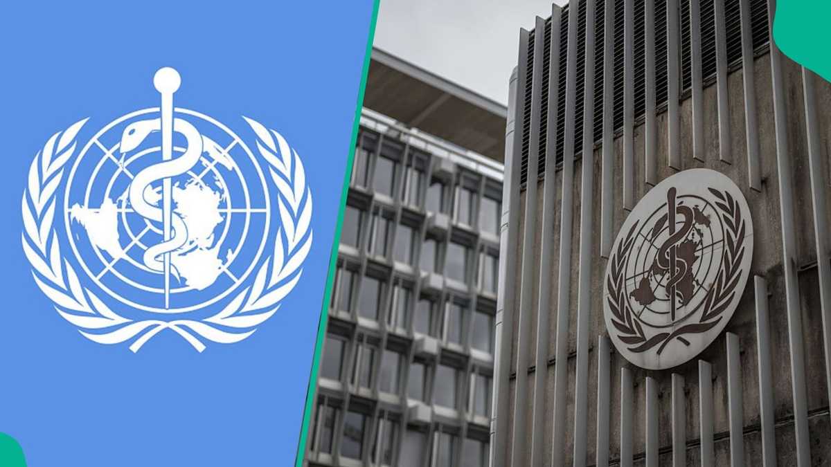 World Health Organisation Announces New High-Paying Health Vacancy, How to Apply and Link Emerge