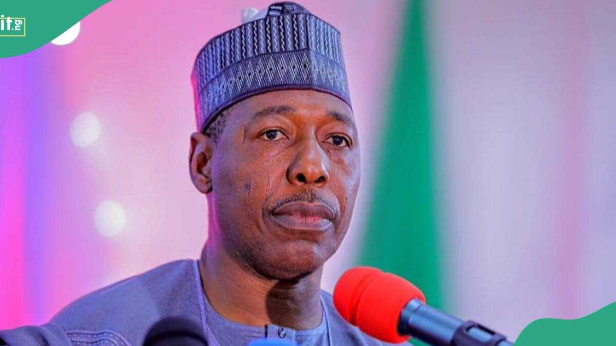 Planned nationwide protests: Borno state governor sends an important message to Nigerians