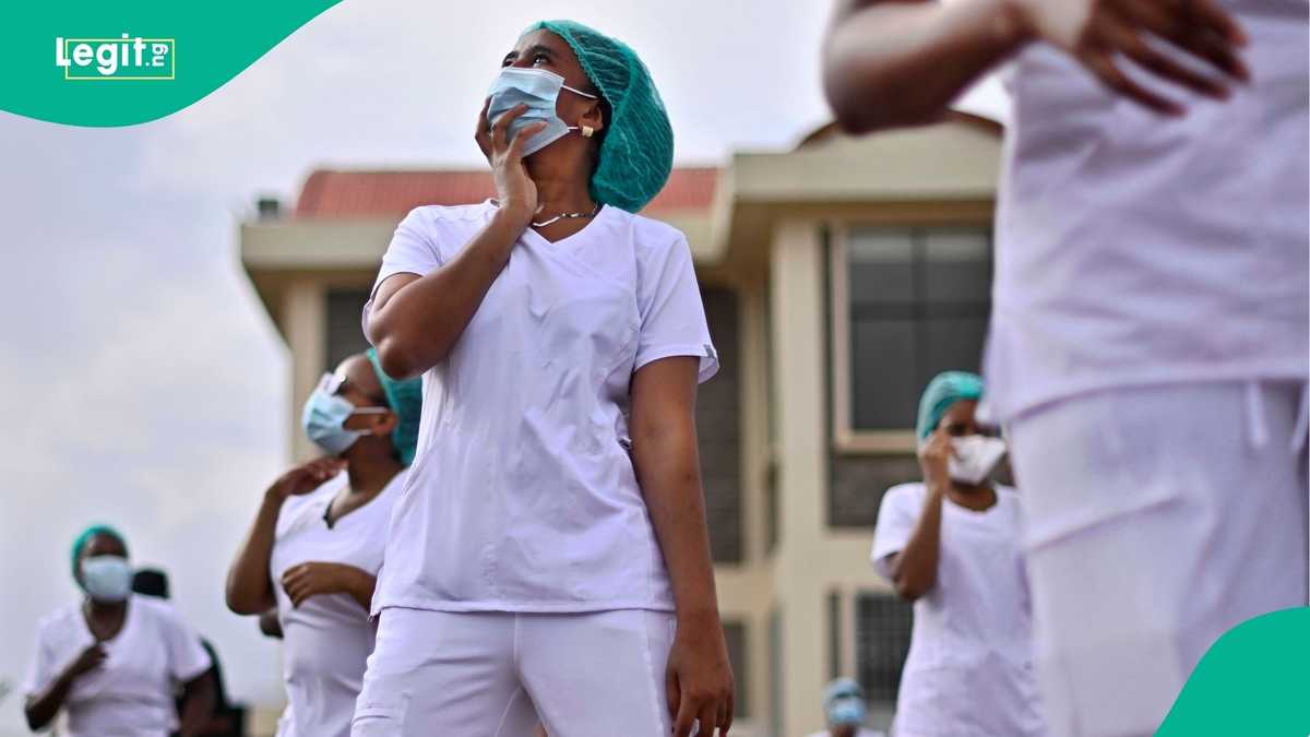 Canada and seven other countries advertise visa-sponsored nursing jobs for 2026