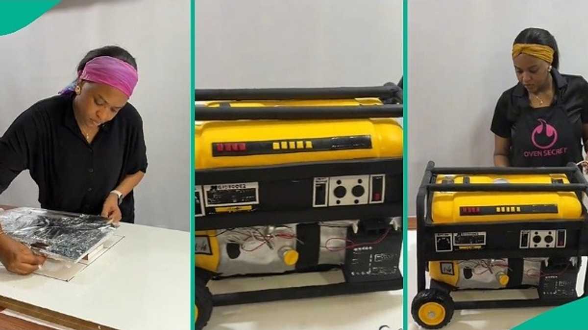 Lady who made cake that looks like fuel-powered generator shows off baking process in video