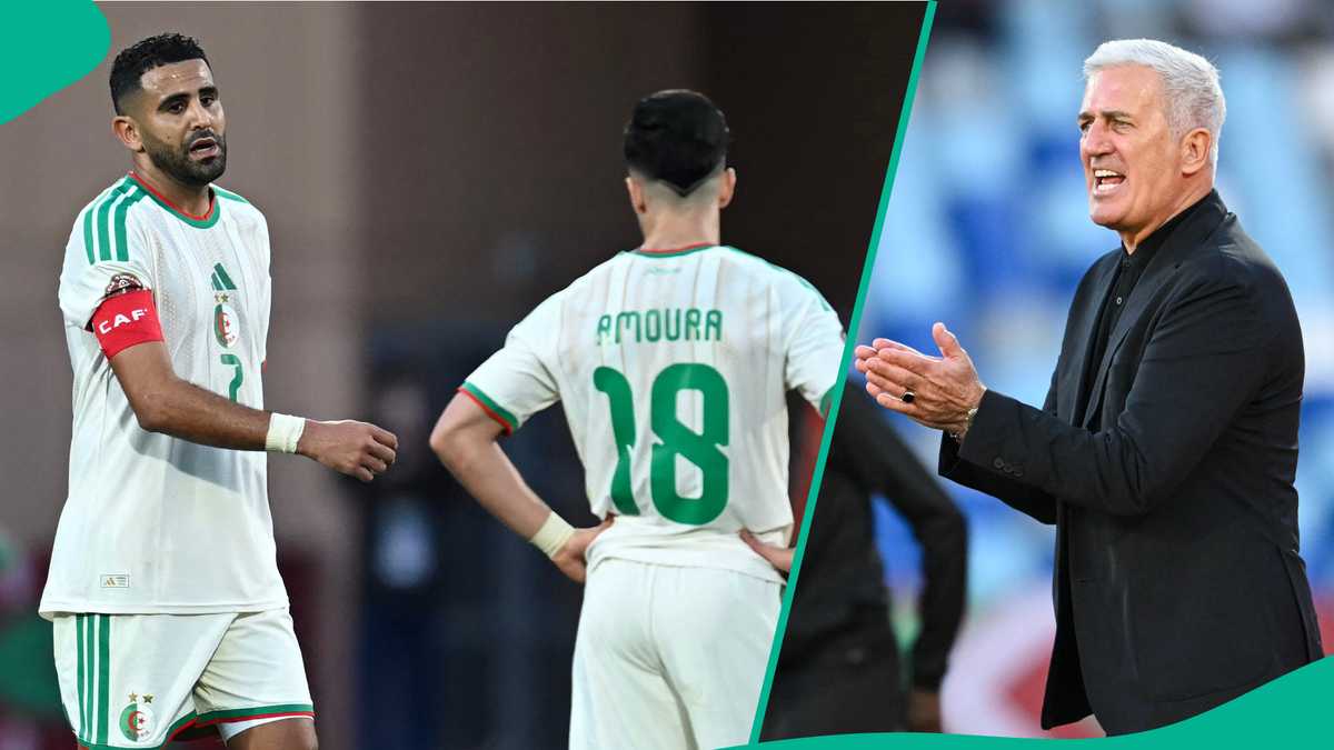 AFCON 2025: Algeria coach Vladimir Petkovic reacts after loss to Nigeria