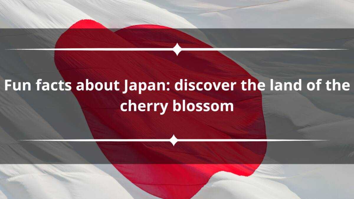 20 fun facts about Japan: discover the land of the cherry blossom