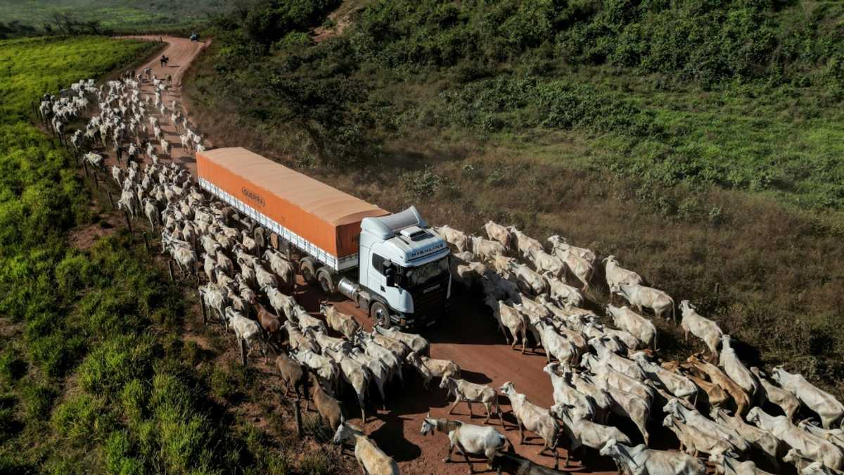 What to know about the EU-Mercosur deal