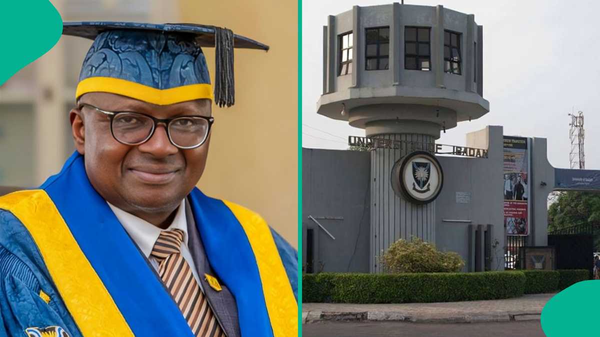 List of institutions affiliated with the University of Ibadan where you can earn a UI degree without relocating to the main campus