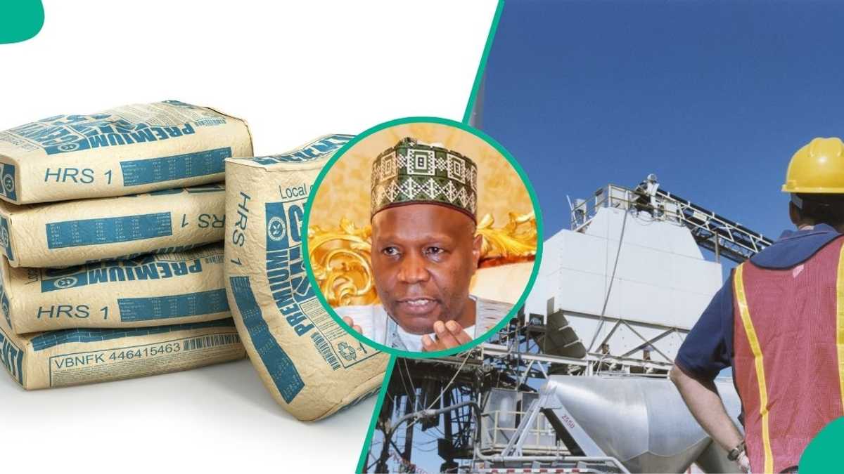 See the new cement company set to compete with Dangote, BUA