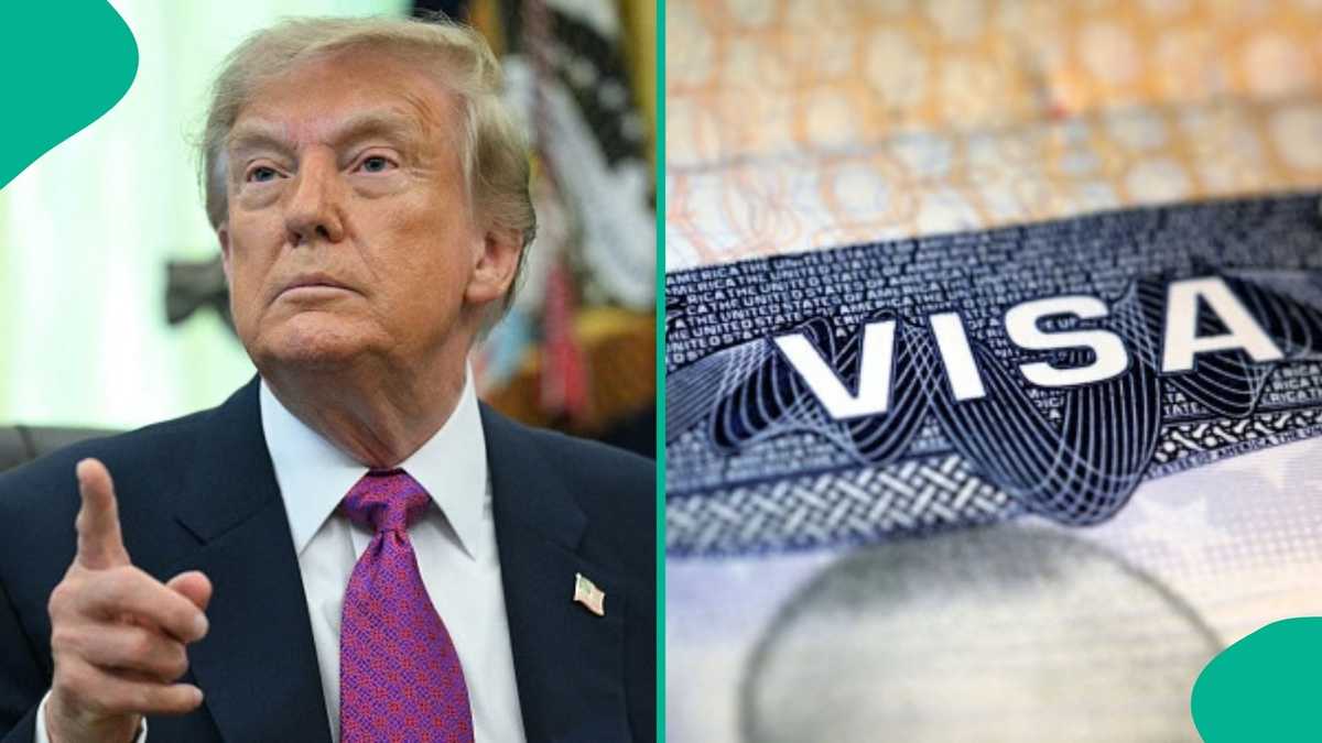 US names 7 groups that can apply for visas without paying application fees
