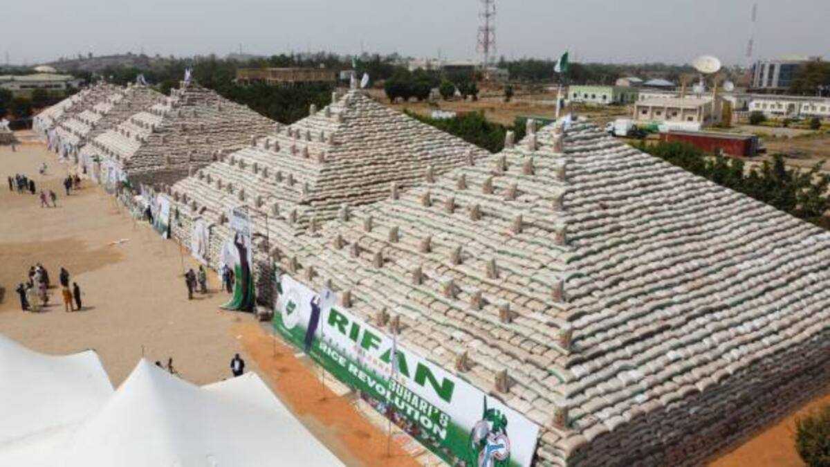 Olam Rice Model Olam Tells Nigerians to Be Ready to Pay More for Rice This December ...