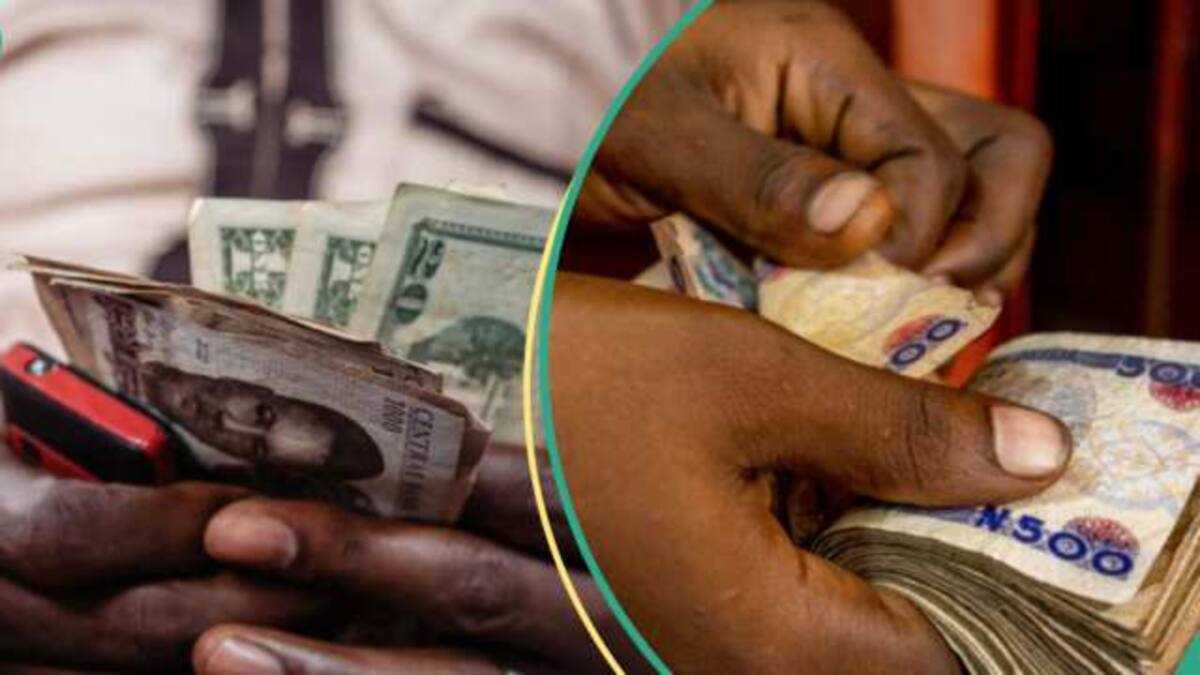 Why the naira crashed in the official market despite inflows