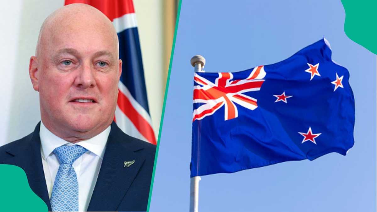 New Zealand reveals 10 countries whose citizens overstayed their visas in 2026