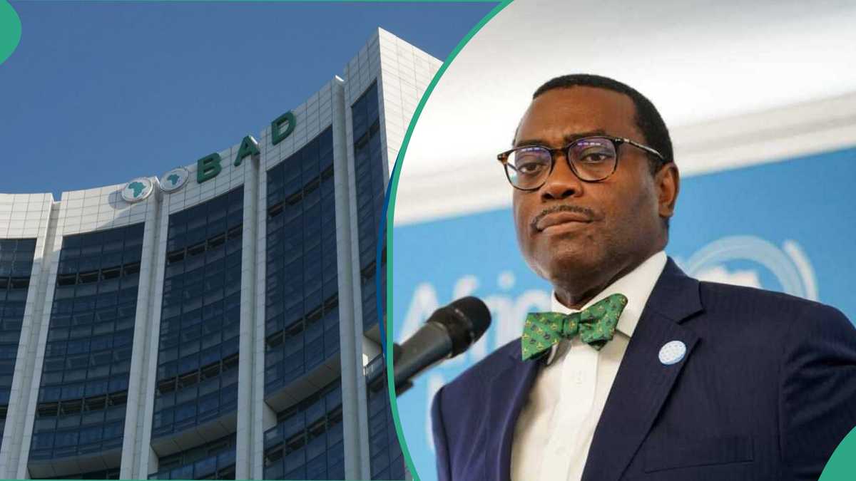 See more as over 21 states enrolls into AfDB N850bn Agric scheme