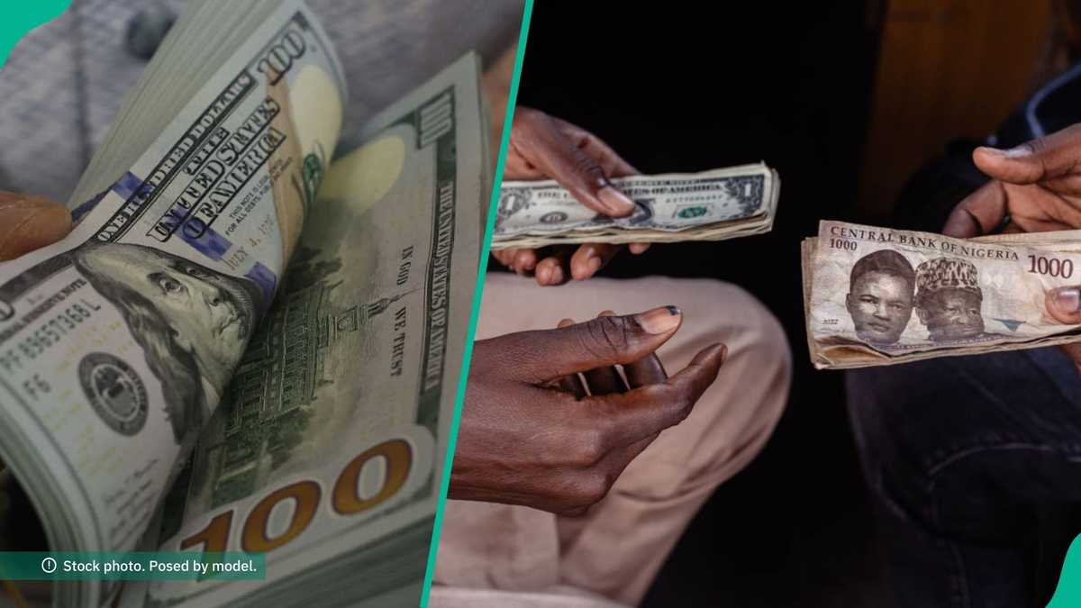 Find out more as Dollar crashes against naira, CBN releases new rates
