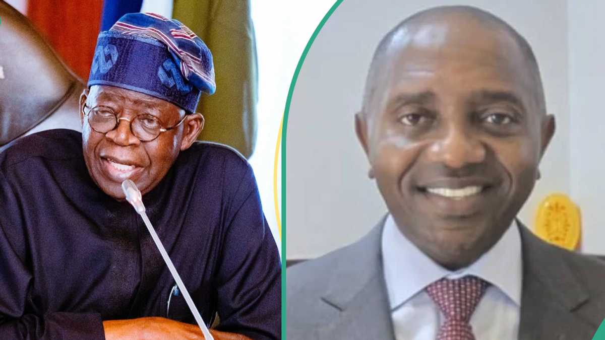 President Tinubu Makes Fresh Appointment, Details Emerge - Legit.ng
