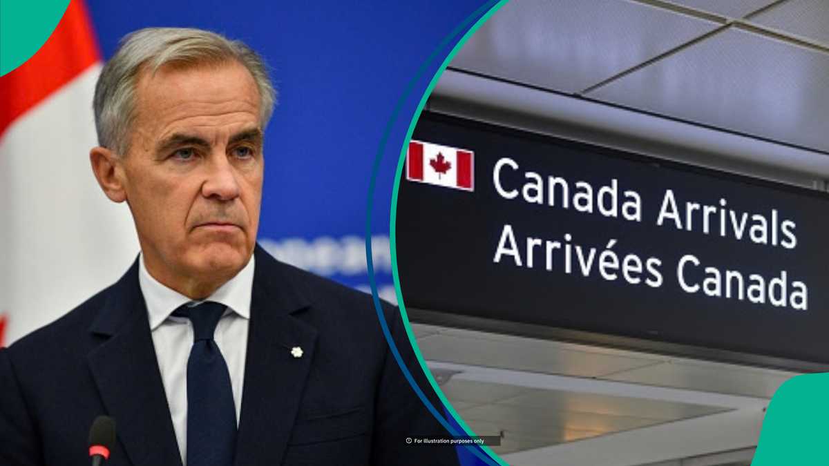 Canada announces work permit fee exemption for 3 categories of foreigners