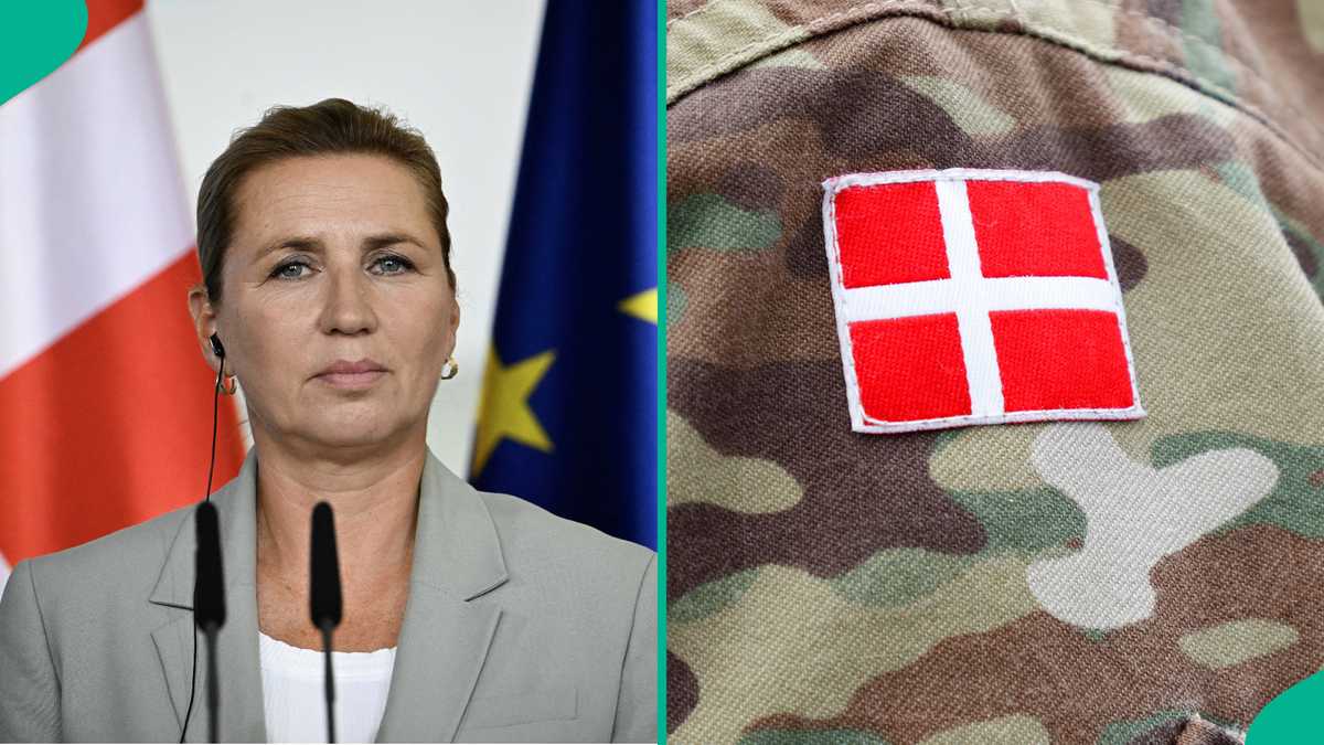 See permit foreigners must hold to join Danish military service