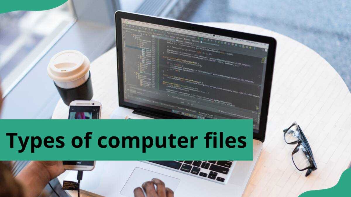 Types of computer files and their uses: A thorough guide - Legit.ng