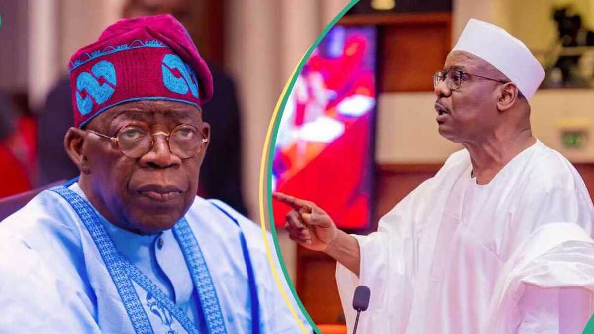 Senator Ndume finally meets Tinubu at Aso Rock, details emerge