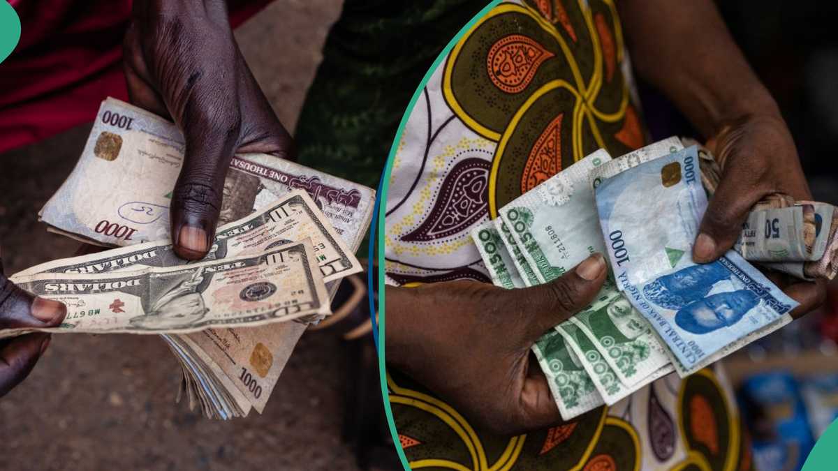 Dollar Inflows Naira Makes Strong Gains in Official Market as CBN Predicts High Dollar ...