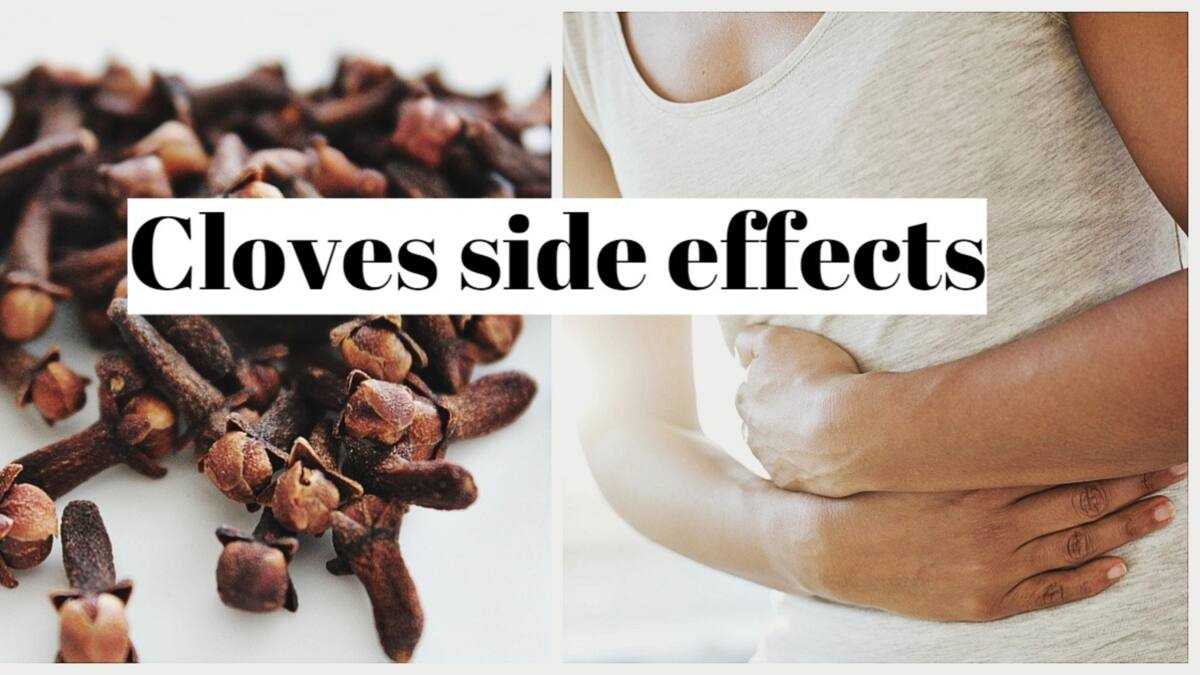 Cloves side effects you should know about Legit.ng