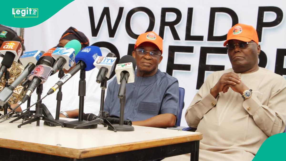 Revealed: ADC coalition leaders consider 2 new parties after INEC derecognised David Mark's leadership