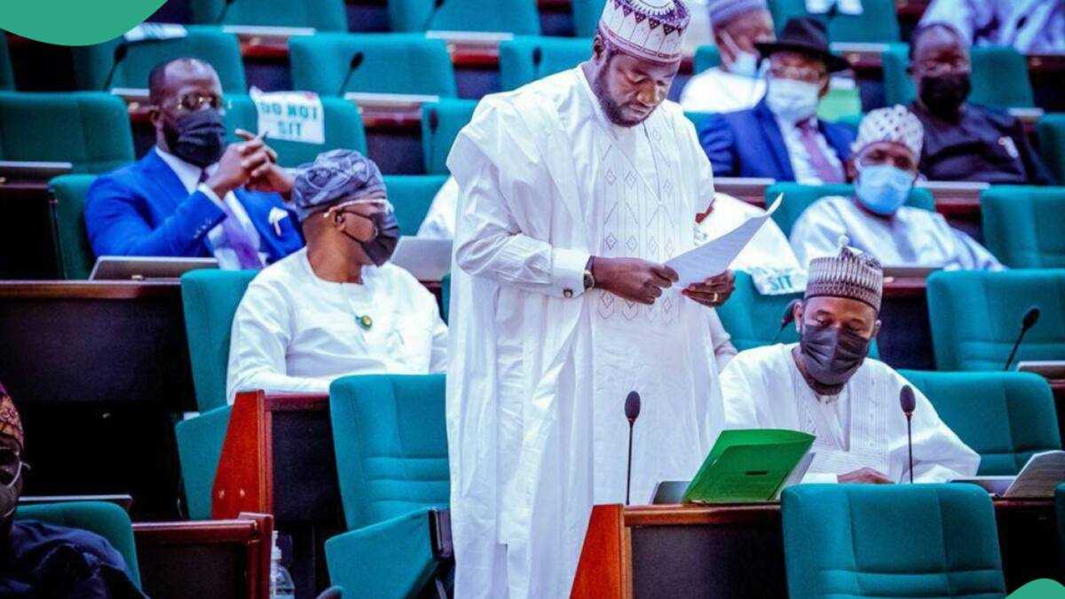 Federal lawmaker tells Tinubu's govt what to do to terrorists, bandits, others for killing Nigerians