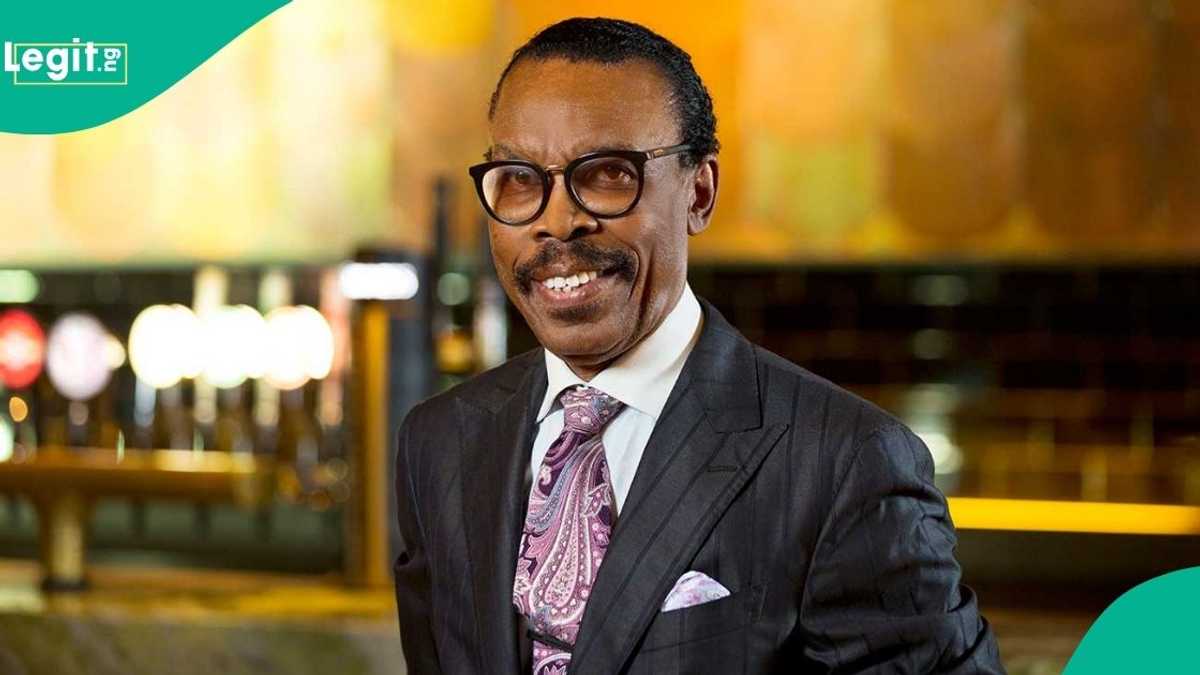 Rewane explains how Dangote Refinery shares is better than gambling and football betting