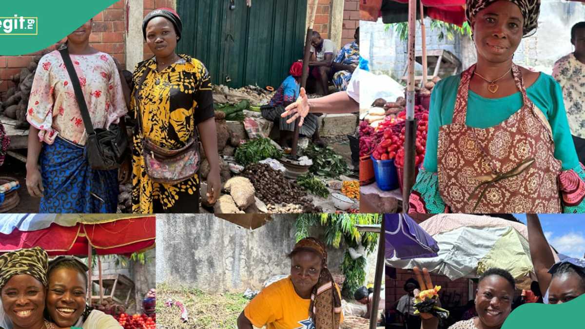 WIB Fair Launches Market Exhibition in Abuja, Details Emerge Legit.ng