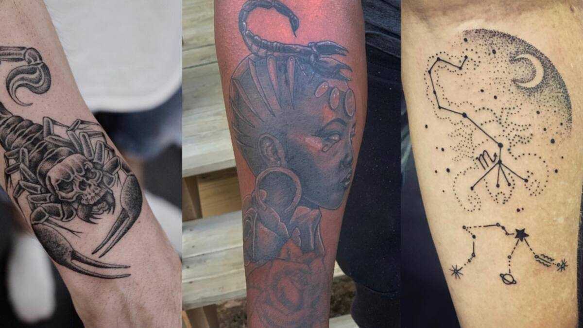 50 scorpion tattoo design ideas for men - Legit.ng