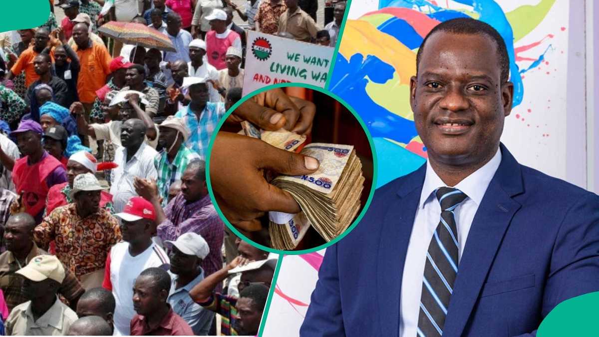 Tax Reforms: Nigerian workers report higher take-home pay in January 2026 under PAYE system