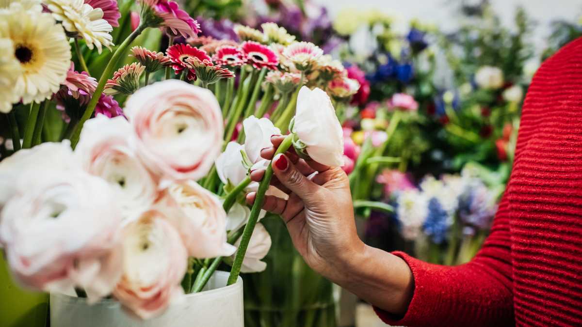 I gave birth yesterday — Then someone sent me funeral flowers instead of congratulations