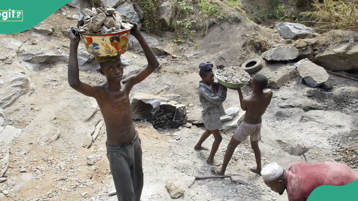 Breaking: Mining pit collapses in top northern state, number of deaths announced