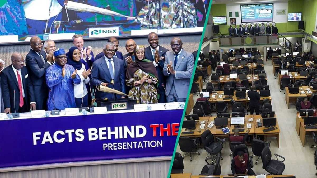 Find out more as Dangote Refinery IPO boosts investor interest as Nigerian stocks edge higher