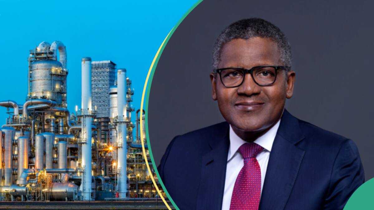 Full steps to get free Dangote Refinery shares as a Nigerian student