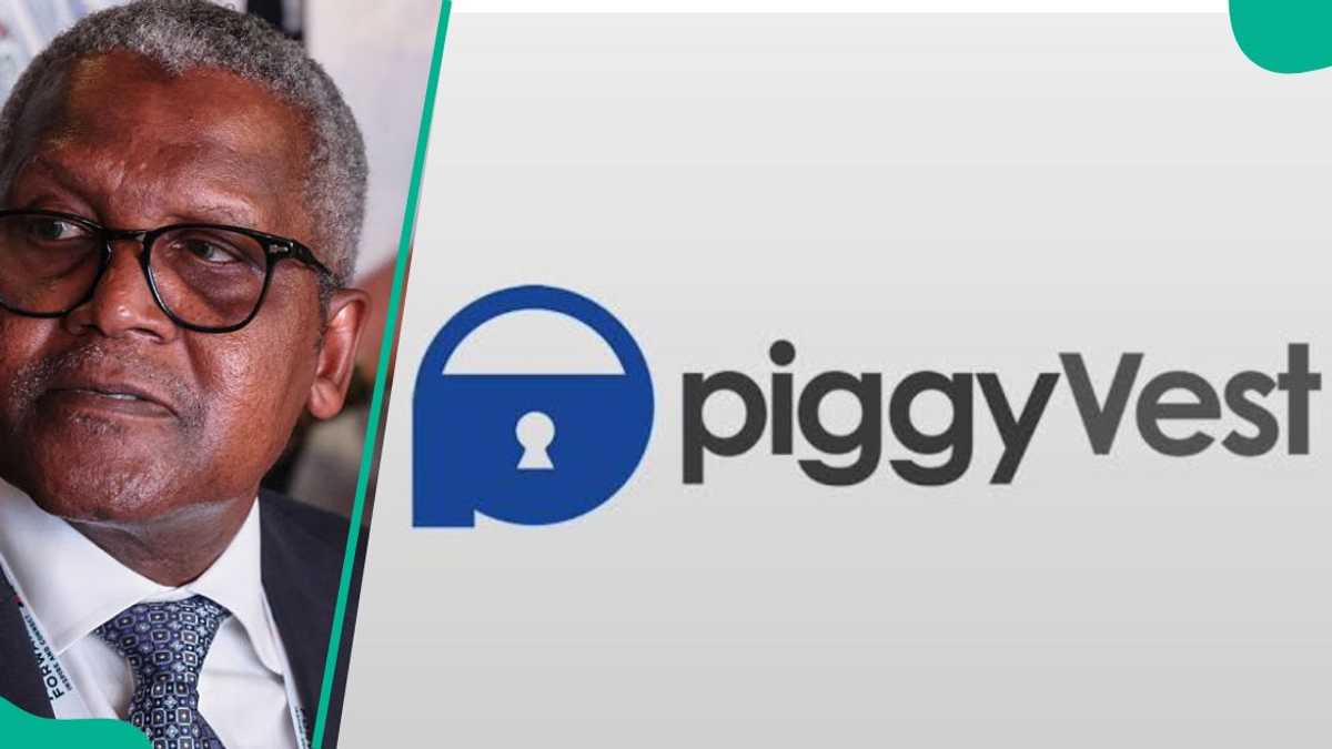 How to purchase Dangote Refinery's shares on Piggyvest