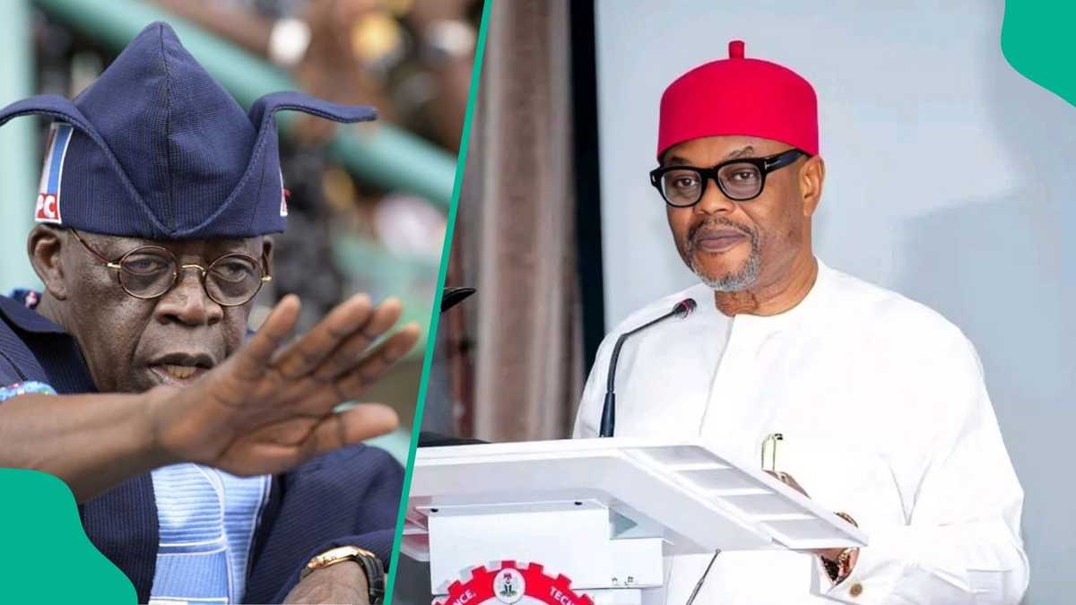Certificate Scandal: Fresh Details Emerge on How Tinubu Allegedly ...