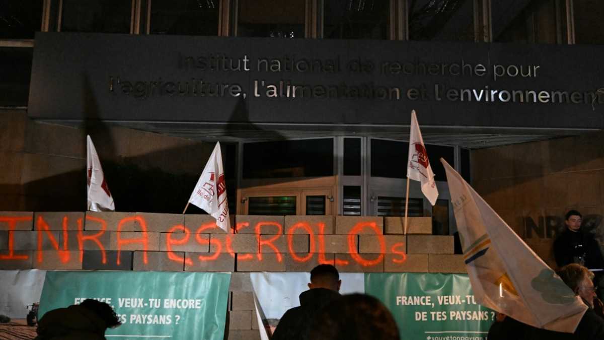 French farmers wall off public buildings in protest over regulations