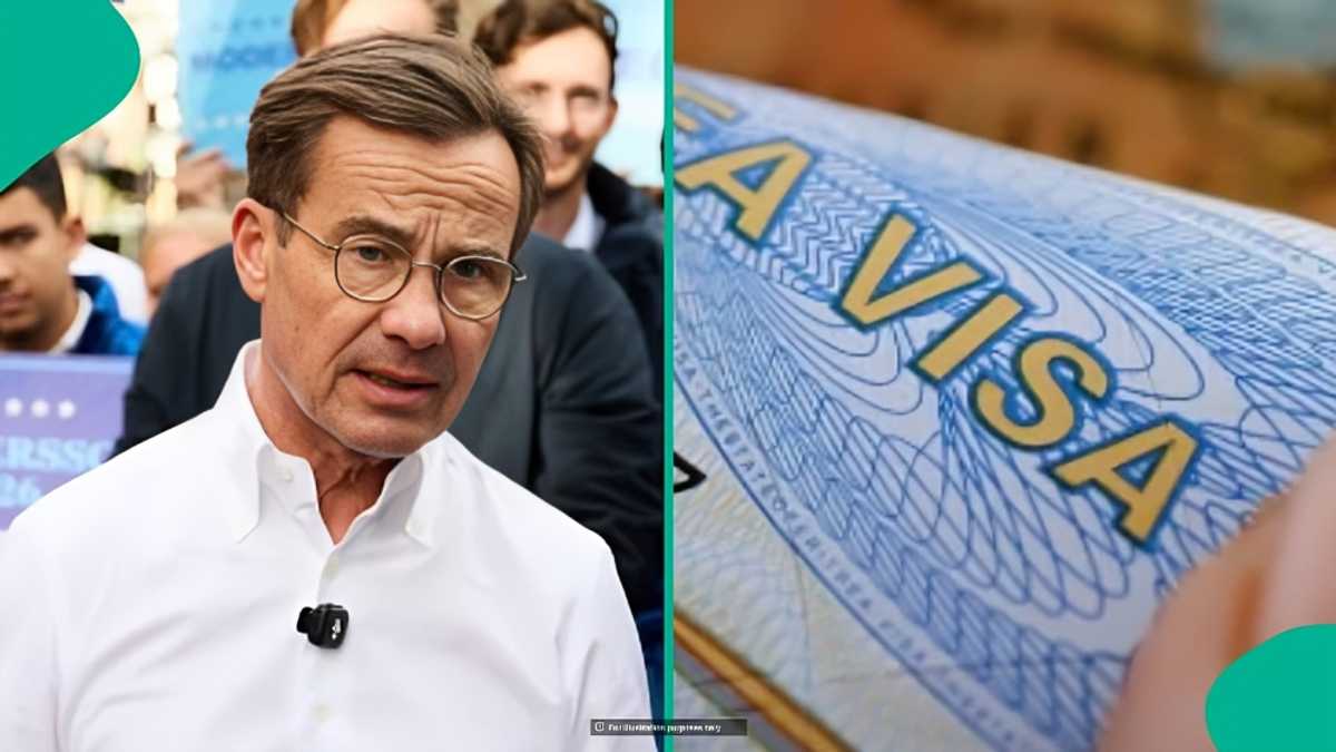 Sweden releases amount foreigners need after housing costs to bring children to country