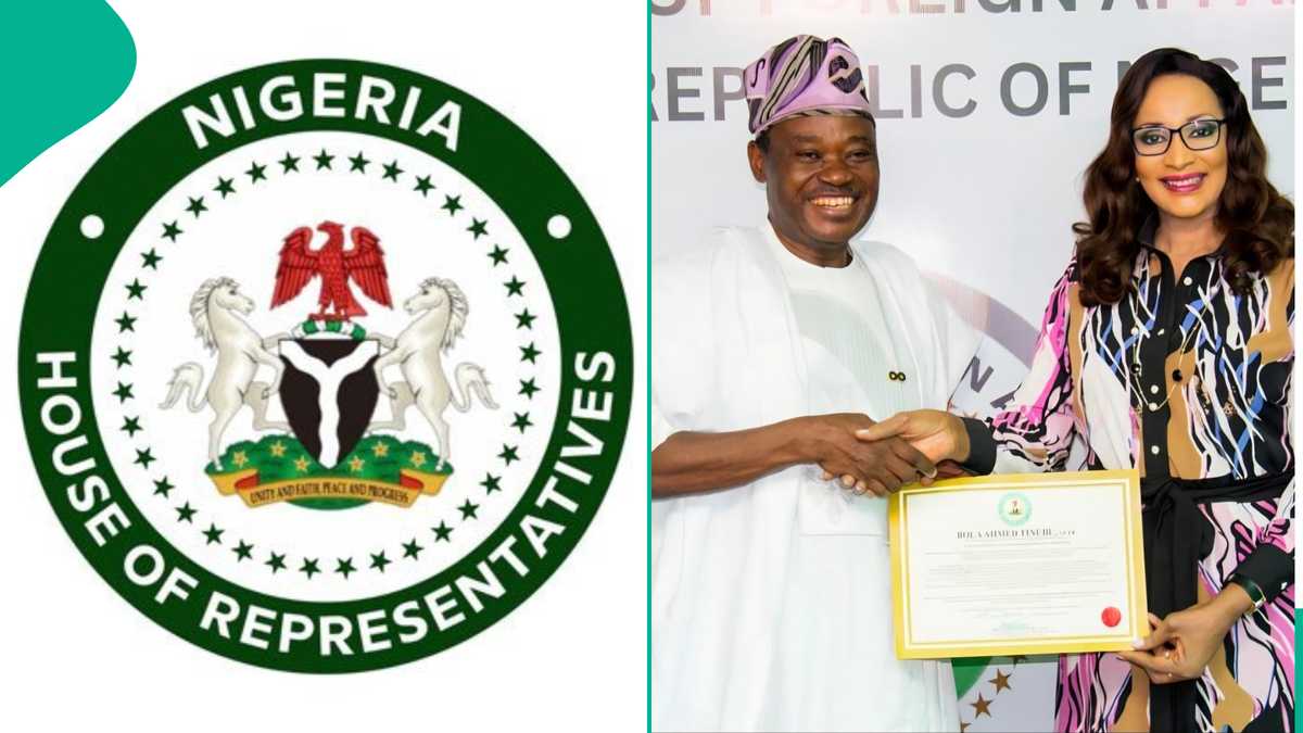 UN: Nigerian lawmaker reacts as criticisms trail Jimoh Ibrahim's appointment