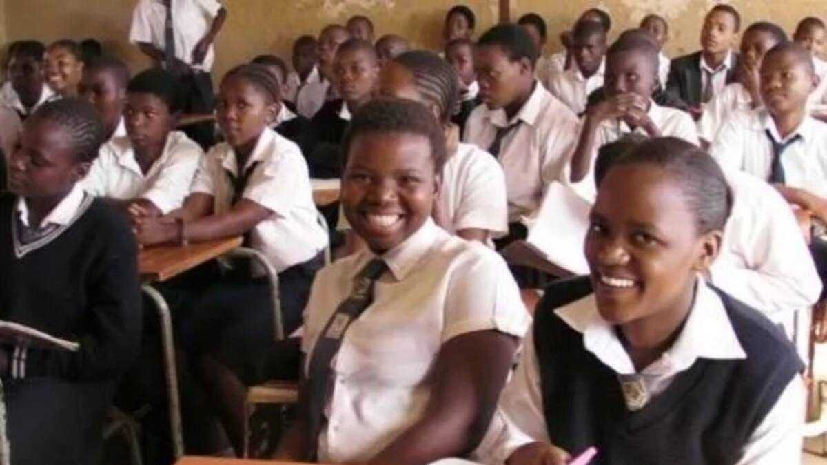 FUTA pre degree school fees Legit.ng