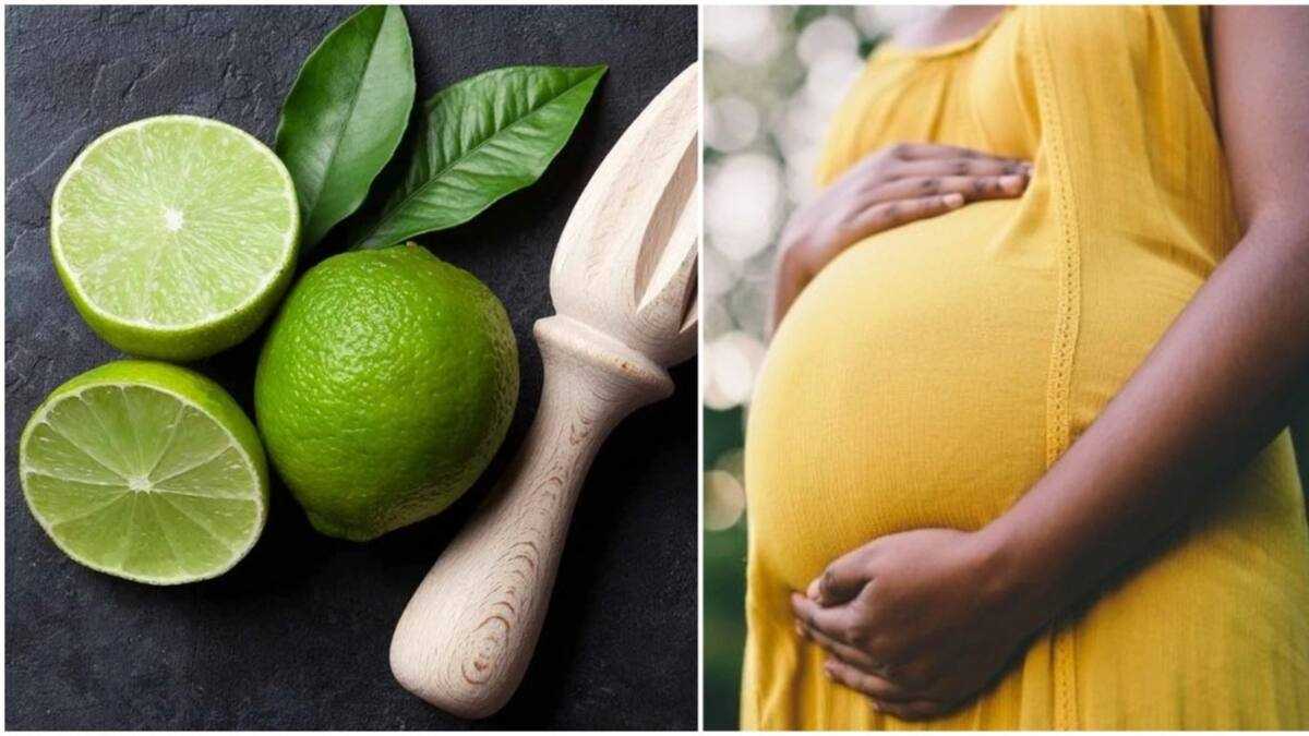 Effect of lime on early and late pregnancy: Top health benefits and side  effects - Legit.ng