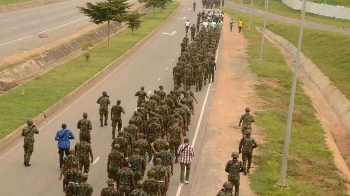 Python Dance Parrot Code Operation Python Dance formally comes to an end in southeast - Legit.ng