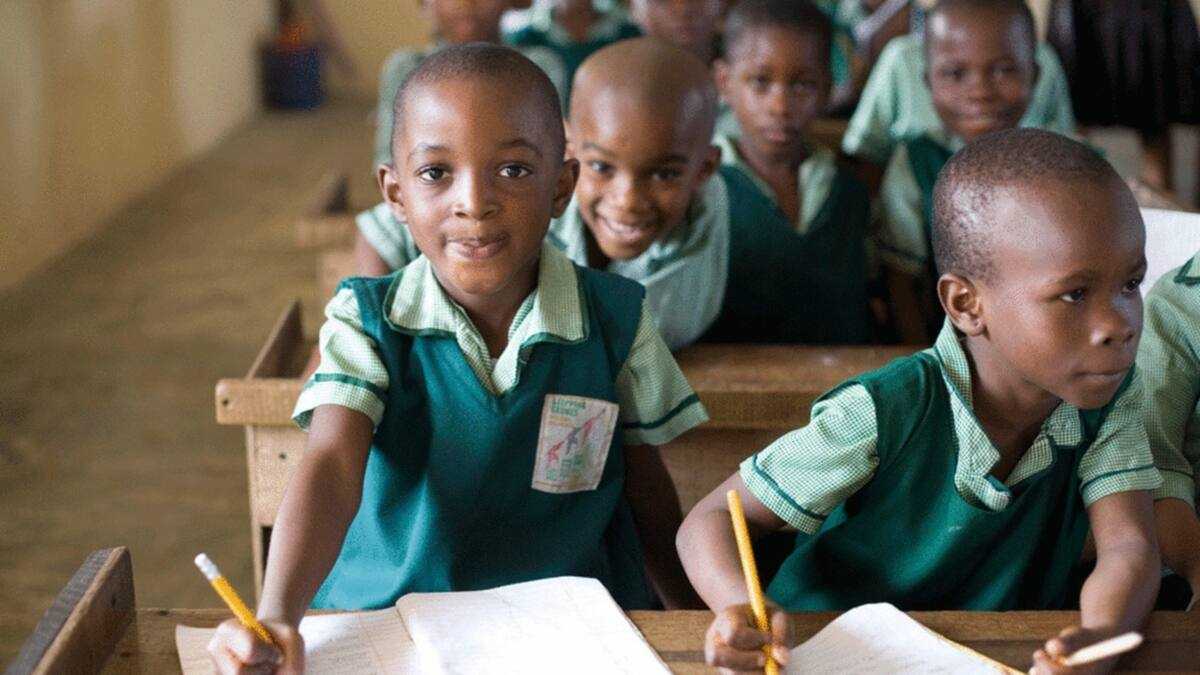 Scheme of work for nursery and primary school in Nigeria Legit.ng