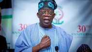 Election tribunal: APC calls for dismissal of 3 opposition petitions against Tinubu, gives reason