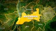 Anambra: Rayuka 8 sun salwanta bayan 'yan bindiga sun kai hari gidan giya da sansanin sojoji