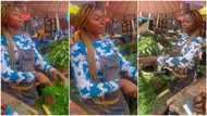 "You add juju": Video of beautiful lady cutting vegetables in market with eyes closed creates buzz