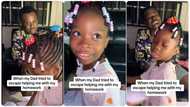"Children homework dey hard o": Little girl calls out her dad who tries to dodge her assignment