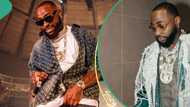 Arrival of twins, N128m debt, Anita Brown saga, 6 other times Davido has trended online in 2023