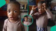 2-year-old Nigerian boy who recited Psalm 91 with amazing memory goes viral, many react