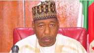 Zulum ya bayyana abinda zai yi wa ɓata garin da aka ɗauki haya suyi zanga zanga a Borno